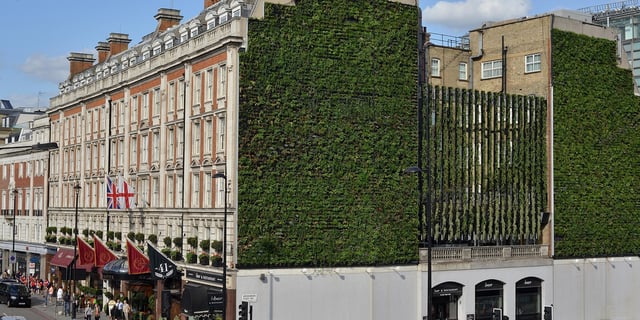LivingWall_Rubens at the Palace